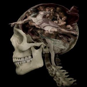 Meet your Posher, Adrianna